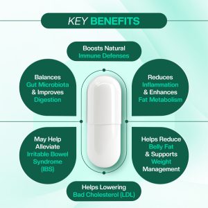 3. Key Benefits